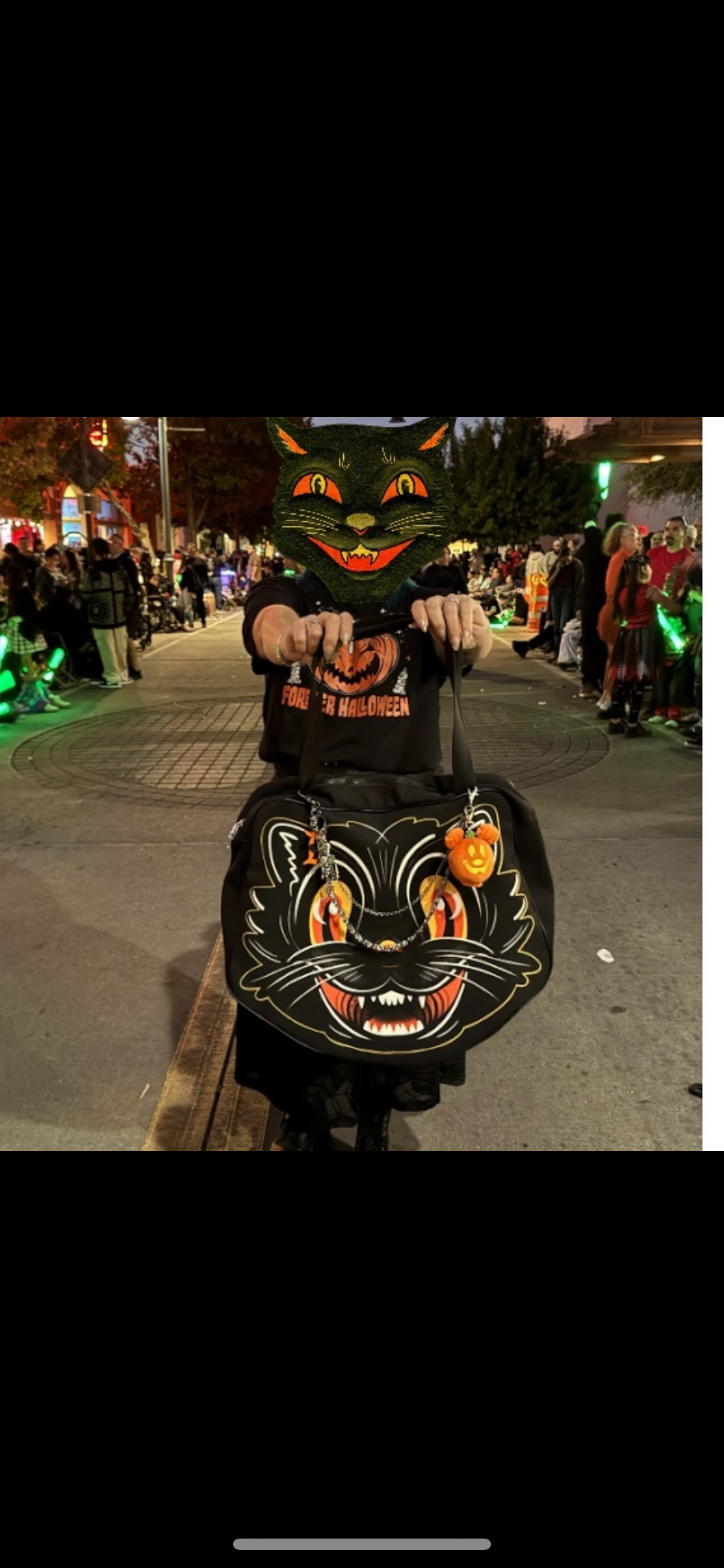 Scaredy Cat Bag